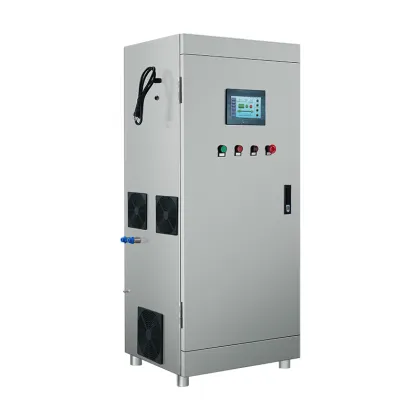 Professional 100g PLC Ozone Generator for Textile Washing and Bleaching