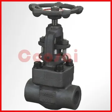 1/2 inch forged 800# Globe valve