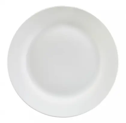 white porcelain dish dinner plate