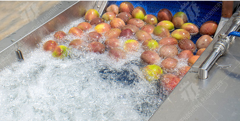 fruit processing line
