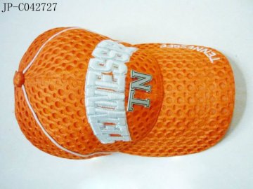 3D embroidered sport cap