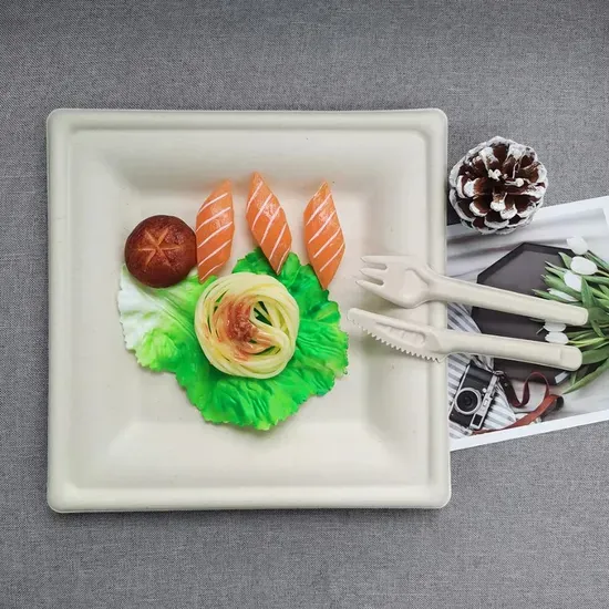 Eco-Friendly Cheap Square Paper Party Plates
