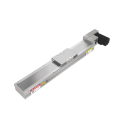 Linear module with strong load bearing capacity