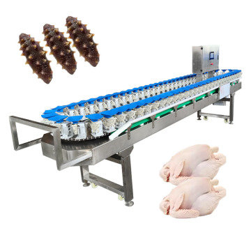 Automatic Fruit and Vegetable Sorting Machine by System