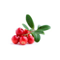 Natural Lingonberry Extract Powder