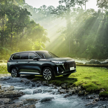 China Luxury Exeed Auto: Exeed VX ، Lanyue Moon 4WD 2024 - أسعار سيارات الدفع الرباعي الجديدة والنماذج
