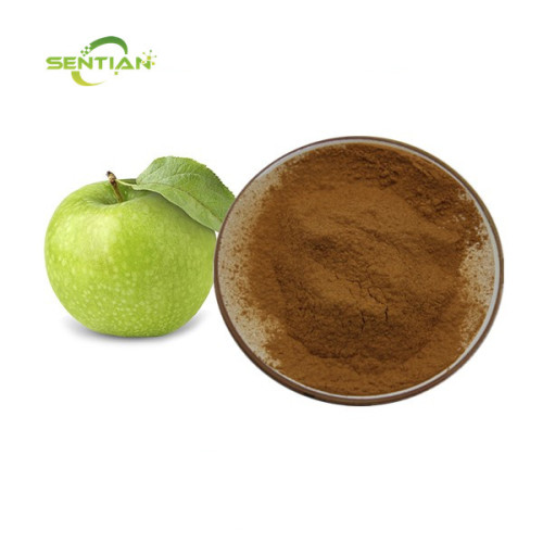 Apple peel extract Apple polyphenol