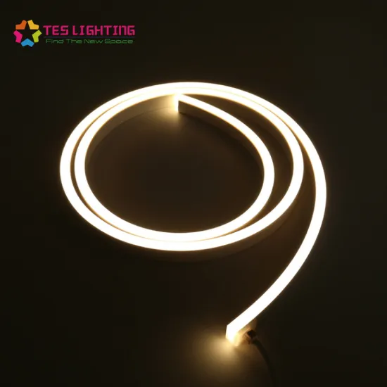 Latest outdoor decoration LED Neon IP68 Waterproof 24V