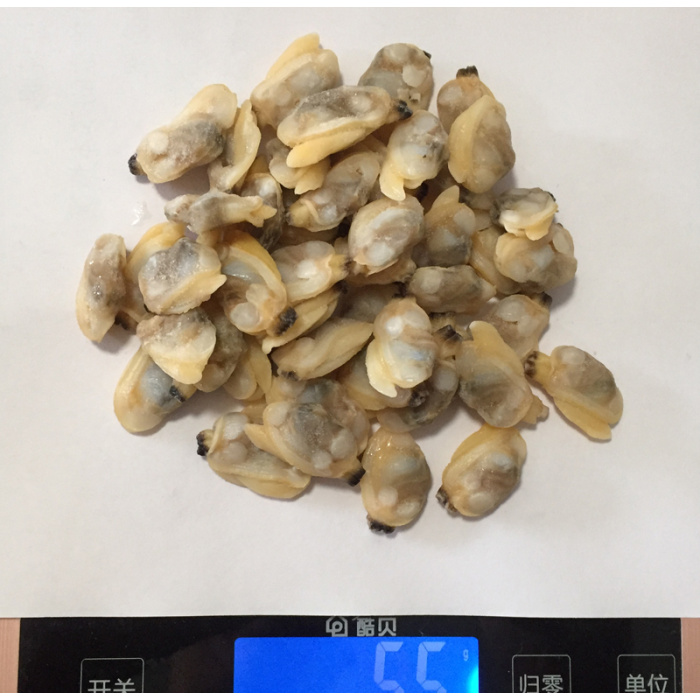 Gefroren gekochte Baby Muschel Fleisch Fleisch Seafood Search