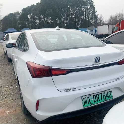 Changan Yidong EV New Energy Car