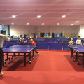 permainan profesional menggunakan lantai gelanggang bola ping-pang