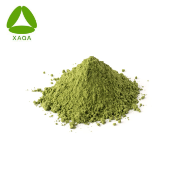 Organic Quality 3A Grade Green Tea Matcha Powder