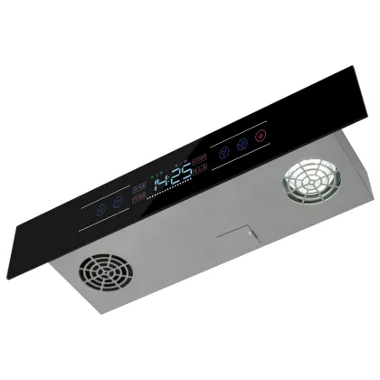 Intelligent Deodorizing Ozone Disinfection Shoe Cabinet
