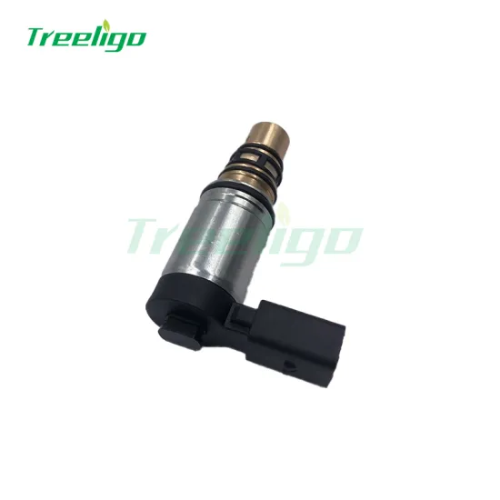 VW Audi Seat Control Valve - Car Valve E25-7007 4056 EX 1711752 TSECV20C