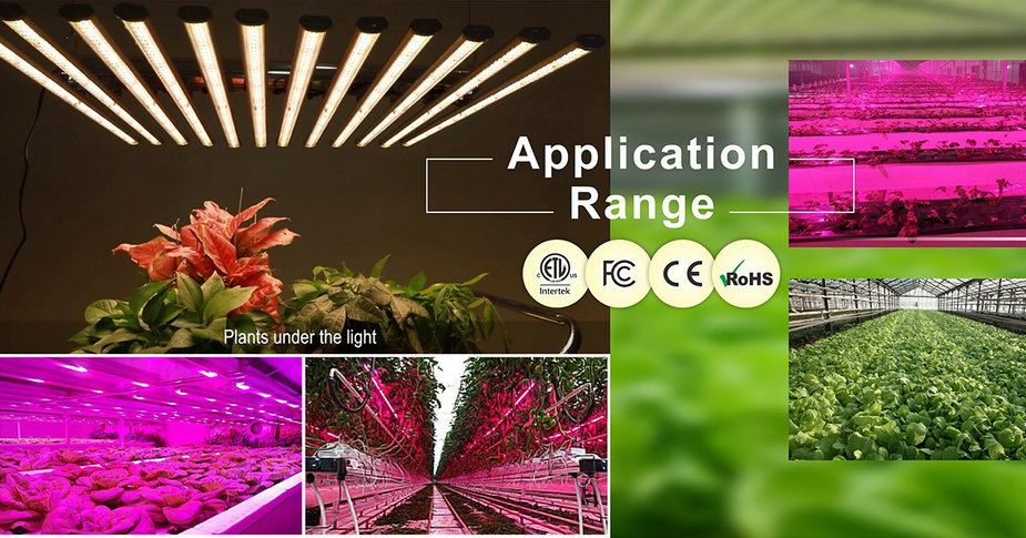 Led Grow Light 1000w 8 Jpg