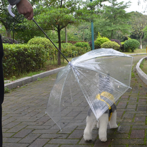 High Quality Transparent Dog Umbrella