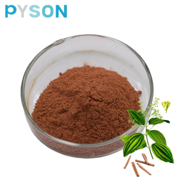 Top Quality Cinnamon Bark Extract Powder