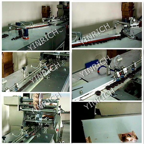 Automatic Feeding and Pillow-Type Packing Machine (DXD1000-1, 1000-2)