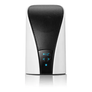 Royqueen Bluetooth speaker