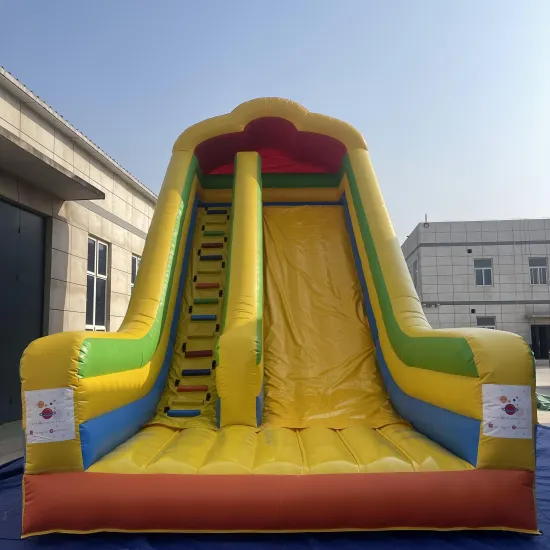Customized Size Outdoor PVC Tarpaulin Inflatable Wet/Dry Slide