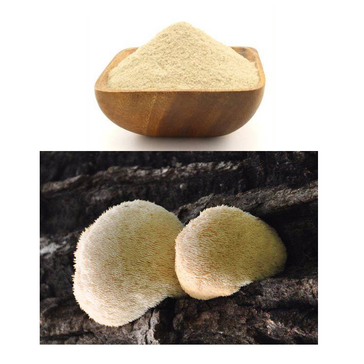 Hericium Erinaceus Extract