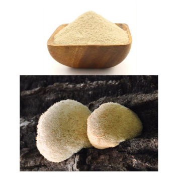 Herbal Extract Hericium Erinaceus Mushroom Extract Powder