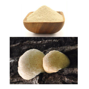 Ekstrak Herba Hericium Erinaceus Extract Extract Powder