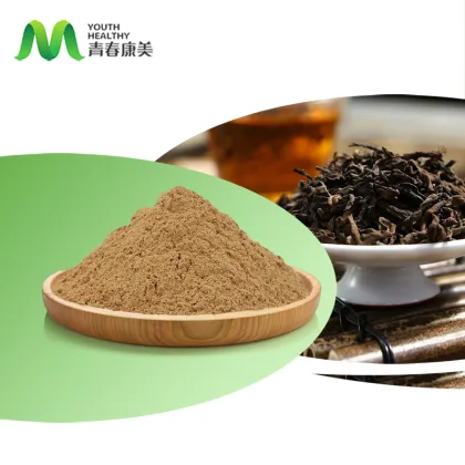 Top Quality Kombucha Tea Powder