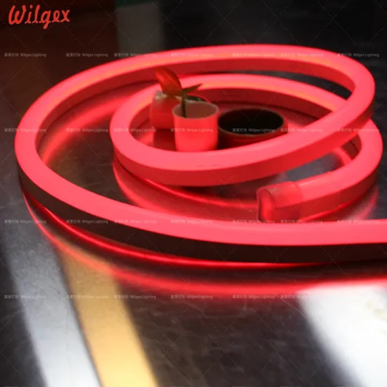 24V color changing LED neon flex rope light