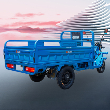 JOYKIE 850W Electric Cargo Tricycle - Made in China