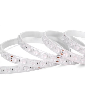 NEW ARRIVAL: 24V LED Magic Digital Dream Color Outdoor Strip Light
