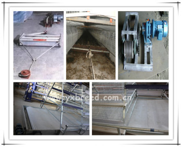 Popular Automatic Chicken Manure Removal (SSCM)