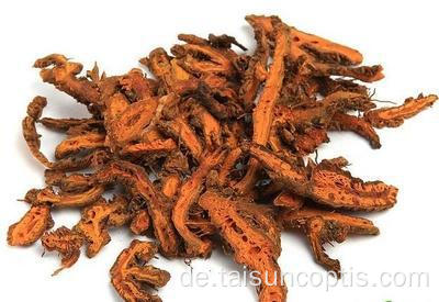 Chongqing Shizhu Berberine Coptis