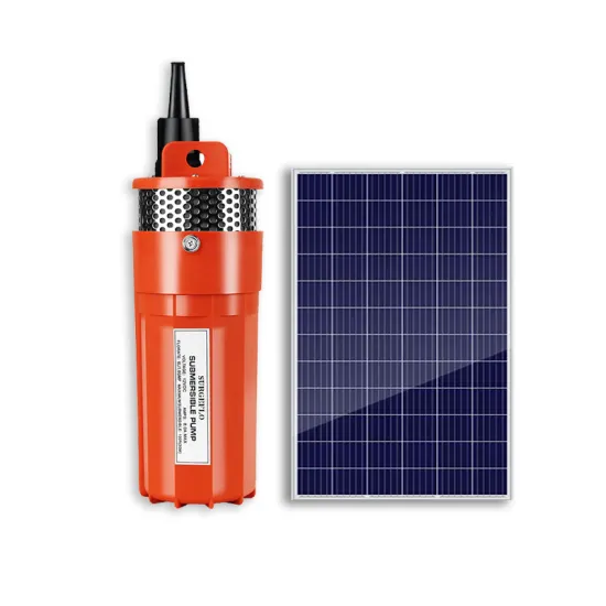 12V 24V Solar Water Pump for Outdoor Garden and Deep Wells