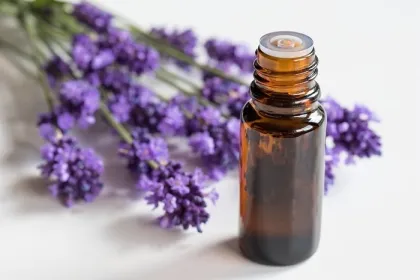 Spike lavender oil pure natural