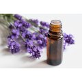 Spike lavender oil pure natural