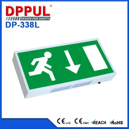 Europe Standard 4 Hours Emergency Time Protection IP20 Emergency Exit Box