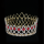 Flower Round Tiara Beauty Pageant Crown