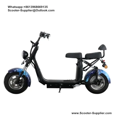 citycoco électr scoot 2000w citycoco europalager