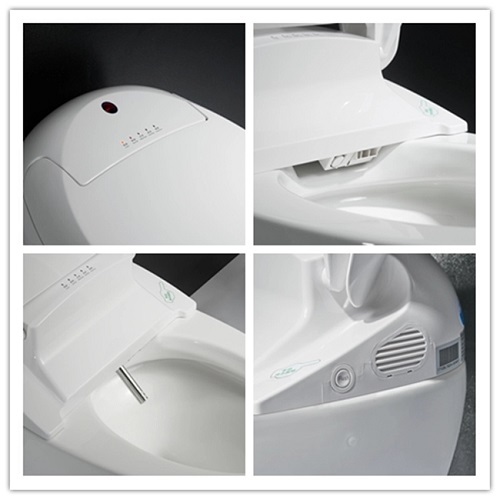 Economic Intelligent Smart Toilet WC Water Closet