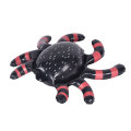 Nadmuchiwane pająki nadmuchiwane zwierzęce zabawki wakacyjne dekoracje