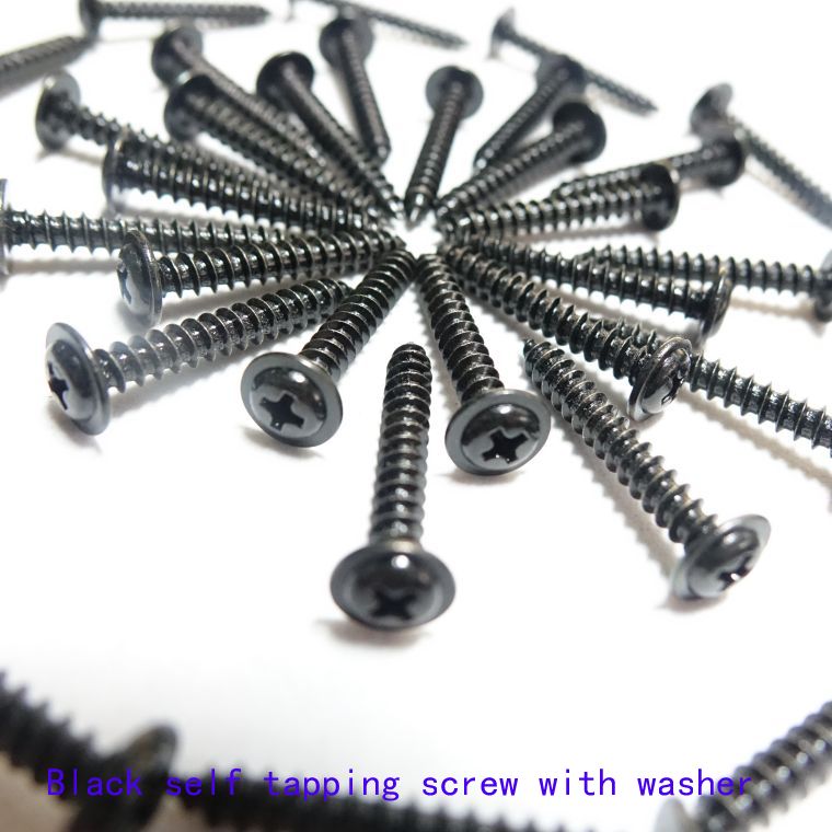Black screws (28)