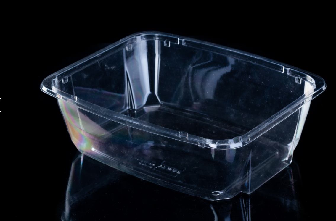 Rectangular Design Uncovered Salad Container