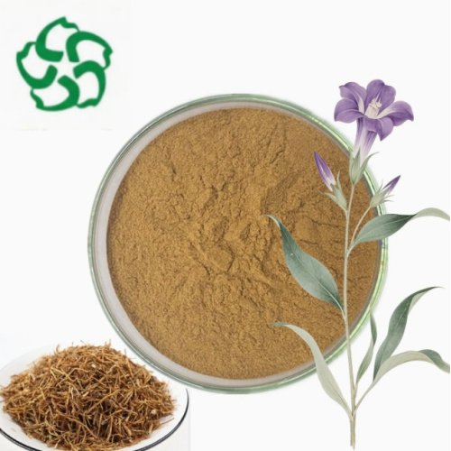 Gentian Extract Powder Gentiopicroside Appetite Improvement