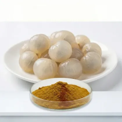 Arillus Longan Extract Powder 100% Natural 10:1