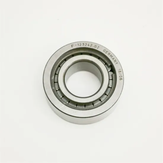 Germany Cylindrical Roller Bearing F-123242.02 for Printing Machine