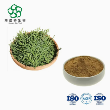 Natural Cacumen Platycladi Extract Powder