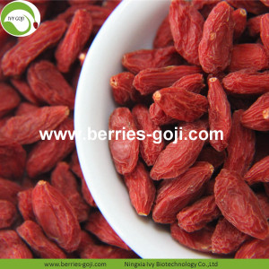 Factory Nutrition Distributor Conventional Goji Berries