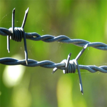 Galvanized or PVC coated Single twist barbed wire