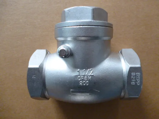 Stainless steel thread end Swing Check Valve